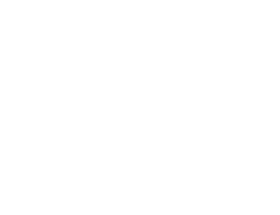 Madra Mór Canine Spa Treatments 标志